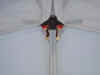flaps_03.jpg (28526 bytes)