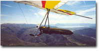 click the image for a larger photo