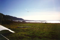 click the image for a larger photo