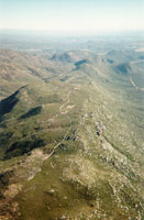 click the image for a larger photo