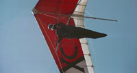 click the image for a larger photo