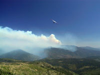 click the image for a larger photo