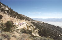click the image for a larger photo