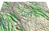 click the image for a larger photo