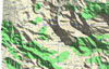 click the image for a larger photo