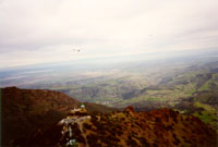 click the image for a larger photo