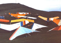 click the image for a larger photo
