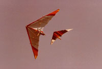 click the image for a larger photo