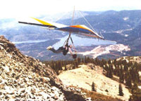 click the image for a larger photo
