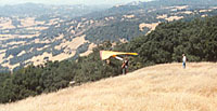 click the image for a larger photo