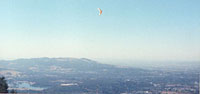click the image for a larger photo