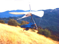 click the image for a larger photo
