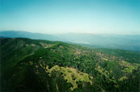 click the image for a larger photo