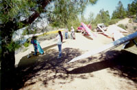 click the image for a larger photo