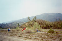 click the image for a larger photo