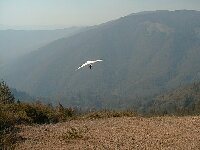 click the image for a larger photo