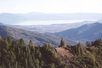 click the image for a larger photo
