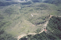 click the image for a larger photo