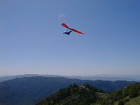click the image for a larger photo