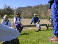 click the image for a larger photo