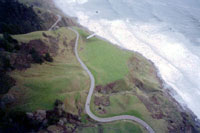 click the image for a larger photo