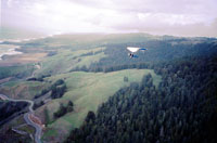 click the image for a larger photo