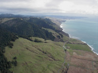 click the image for a larger photo