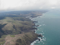 click the image for a larger photo