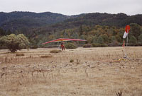 click the image for a larger photo