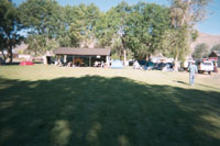 click the image for a larger photo