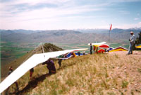 click the image for a larger photo