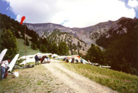 click the image for a larger photo