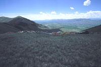 click the image for a larger photo