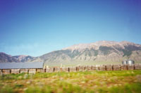 click the image for a larger photo
