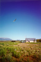 click the image for a larger photo