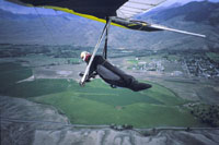 click the image for a larger photo