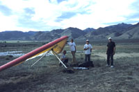 click the image for a larger photo