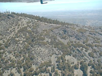 click the image for a larger photo