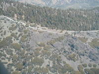 click the image for a larger photo