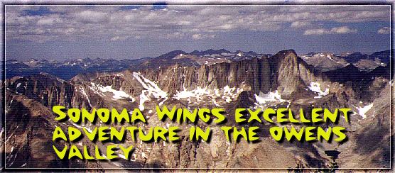 Sonoma Wings Excellent Adventure in the Owens Valley